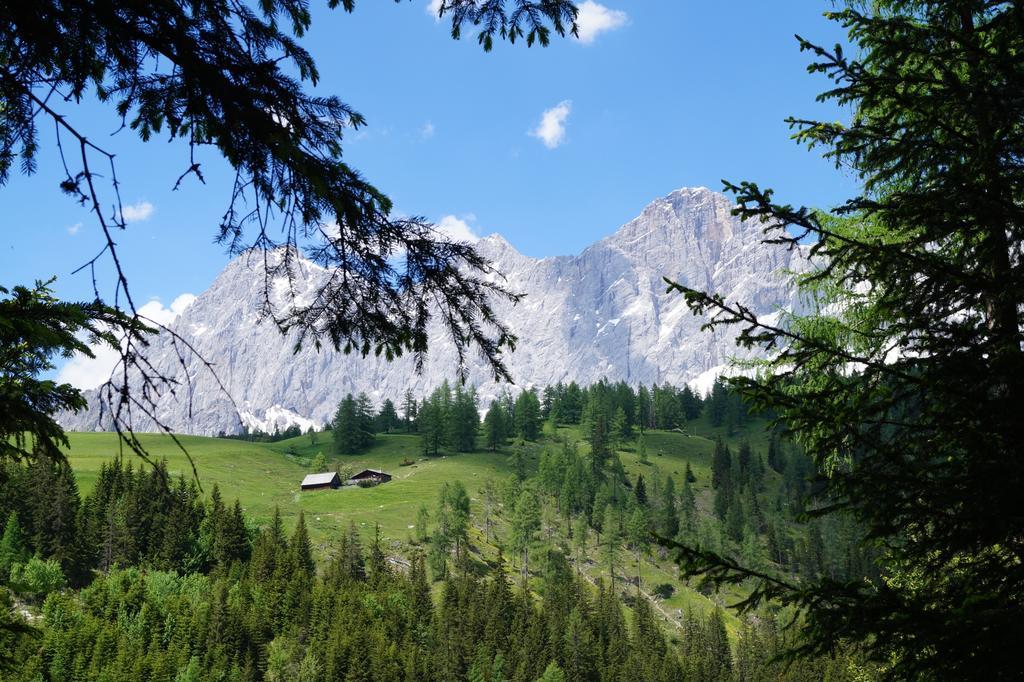 Haus Latschenheim Apartamento Ramsau am Dachstein Exterior foto
