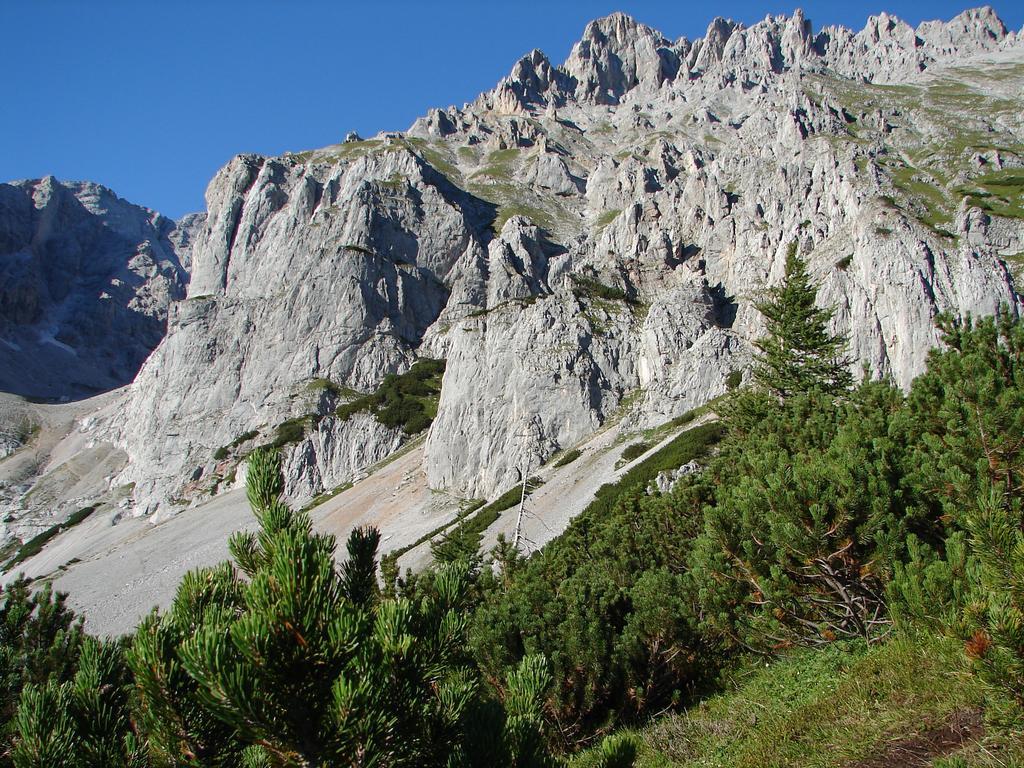 Haus Latschenheim Apartamento Ramsau am Dachstein Exterior foto