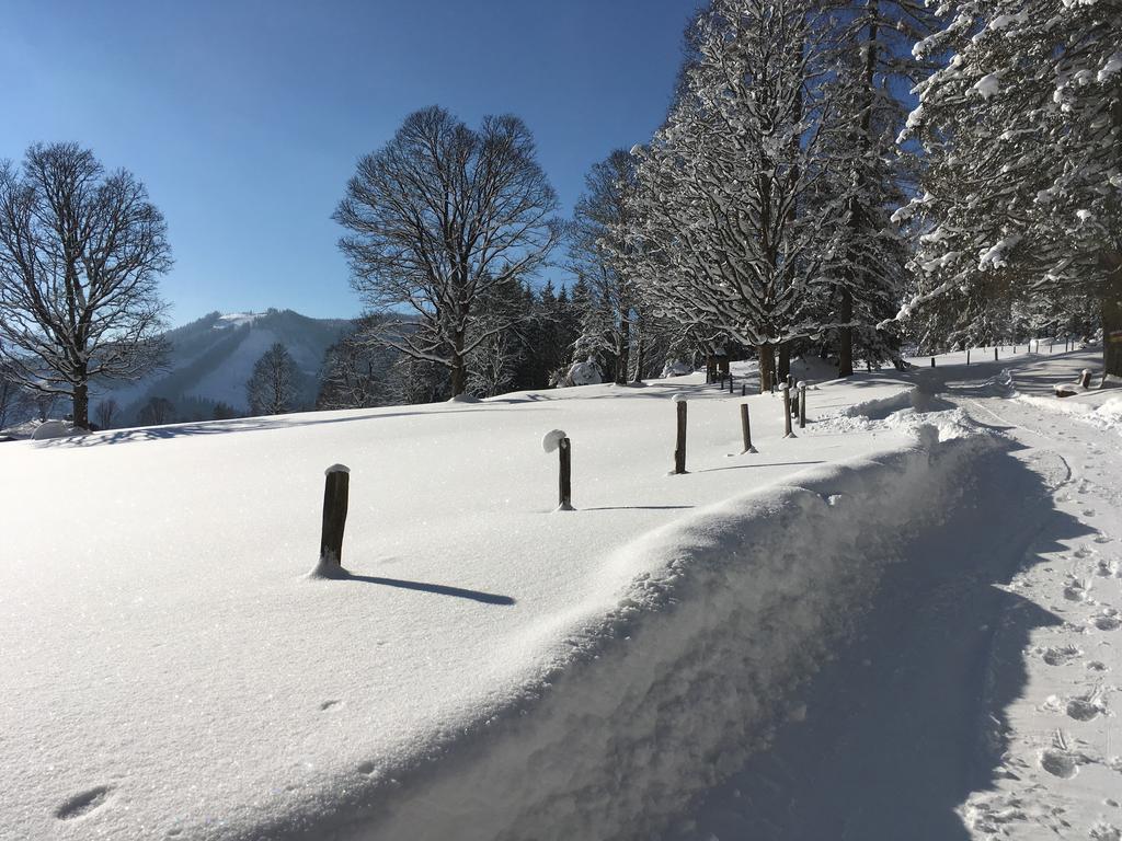 Haus Latschenheim Apartamento Ramsau am Dachstein Exterior foto